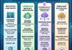 Best Cloud Backup Solutions for Business Data Protection